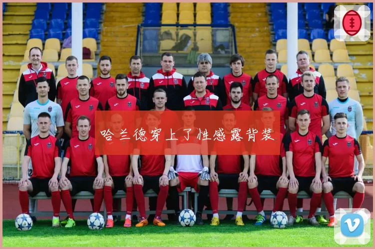 哈兰德穿上了性感露背装