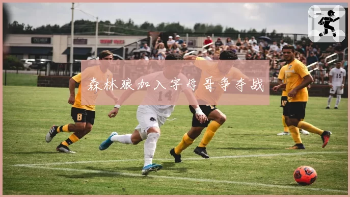 森林狼加入字母哥争夺战