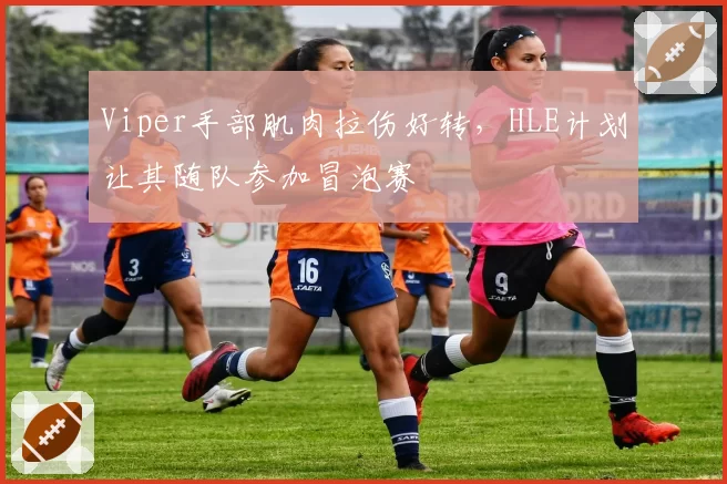 Viper手部肌肉拉伤好转，HLE计划让其随队参加冒泡赛