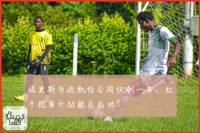 诺里斯与迈凯伦合同仅剩一年,红牛挖角计划能否成功?