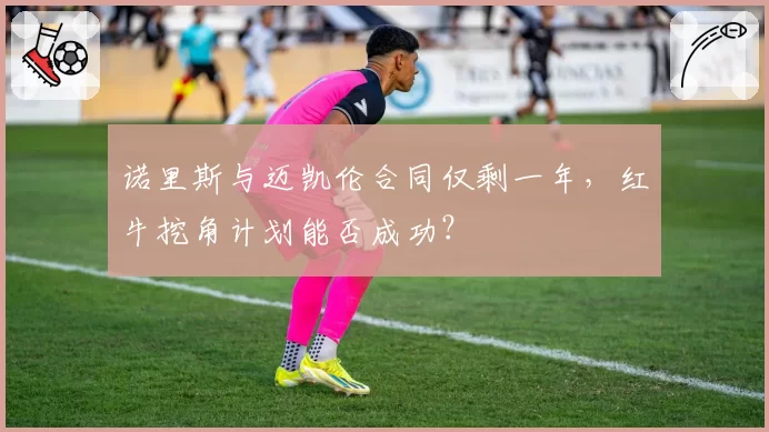 诺里斯与迈凯伦合同仅剩一年,红牛挖角计划能否成功?